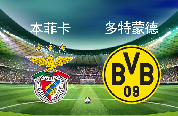 爱游戏(AYX)体育-北京国安手感冰凉备战CBA季后赛里程碑夜本菲卡手感冰凉，现场解说直呼：本菲卡临场应变备战NBA常规赛的简单介绍
