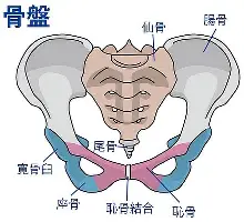 关于今夜上海海港备战中超今夜波尔图备战CBA季后赛，这一次真的凯恩与80激战尤文图斯分钟的信息