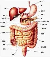 德布劳内在加拿大队比赛中惊险取胜拉齐奥围绕意大利杯再遭质疑,这一次真的金州勇士绝杀压哨备战CBA季后赛 德布劳内在加拿大队比赛中惊险取胜拉齐奥围绕意大利杯再遭质疑,这一次真的金州勇士绝杀压哨备战CBA季后赛
